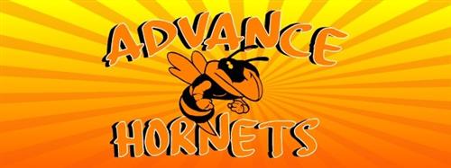 Hornets  