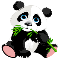 panda 