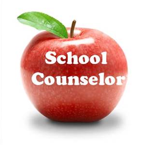 School Counselor 