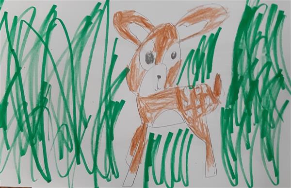 Fawn in Hiding- Myia Haynes, 1st grade