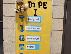 PE Expectations