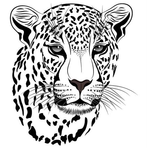 Nahed Chapman New American Academy Logo
