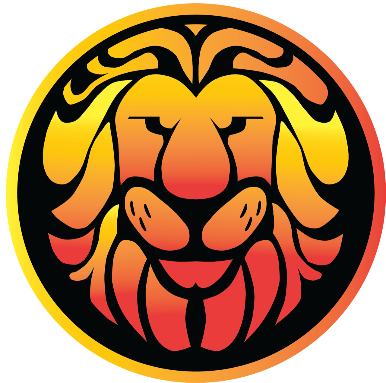 Lyon Academy at Blow Logo